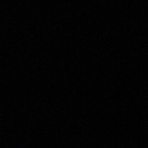 Meet your Posher, Dan